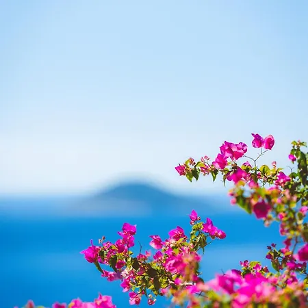 Villa Turquoise Kalkan